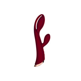 Vibromasseur rouge avec stimulateur de clitoris LRIS USB 